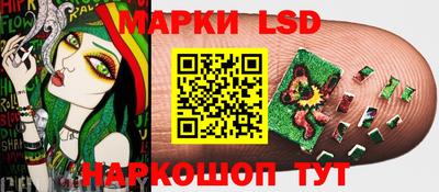мдпв Гатчина