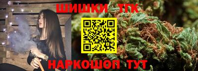 мдпв Гатчина