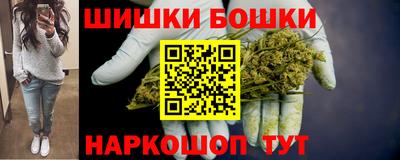 мдпв Гатчина