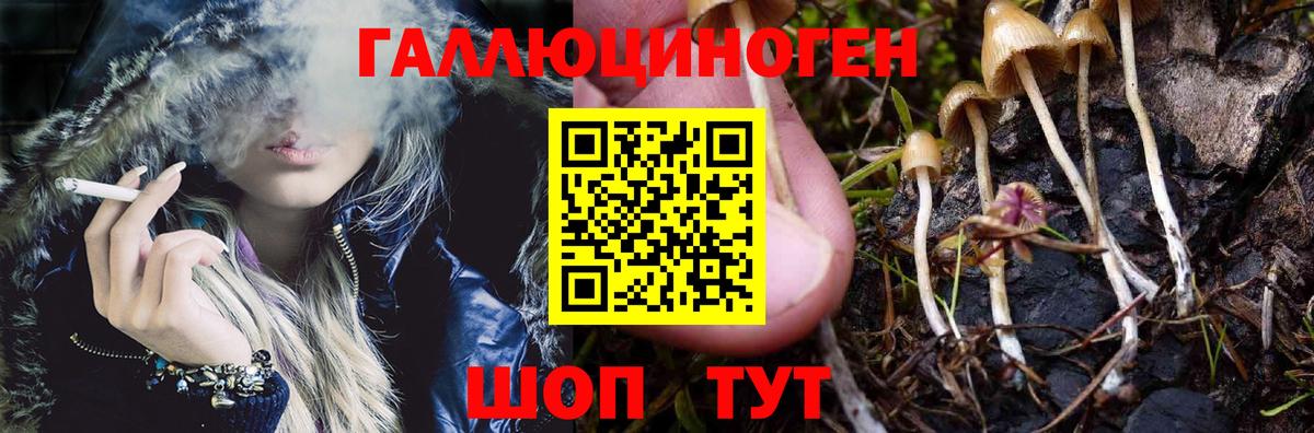 Псилоцибиновые грибы Magic Shrooms  Псилоцибиновые грибы Magic Shrooms  Вход с VPN  Назарово 
